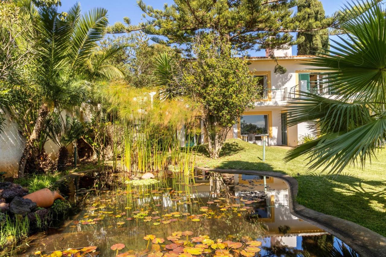 Villa Echium T1 Caniço Eksteriør bilde