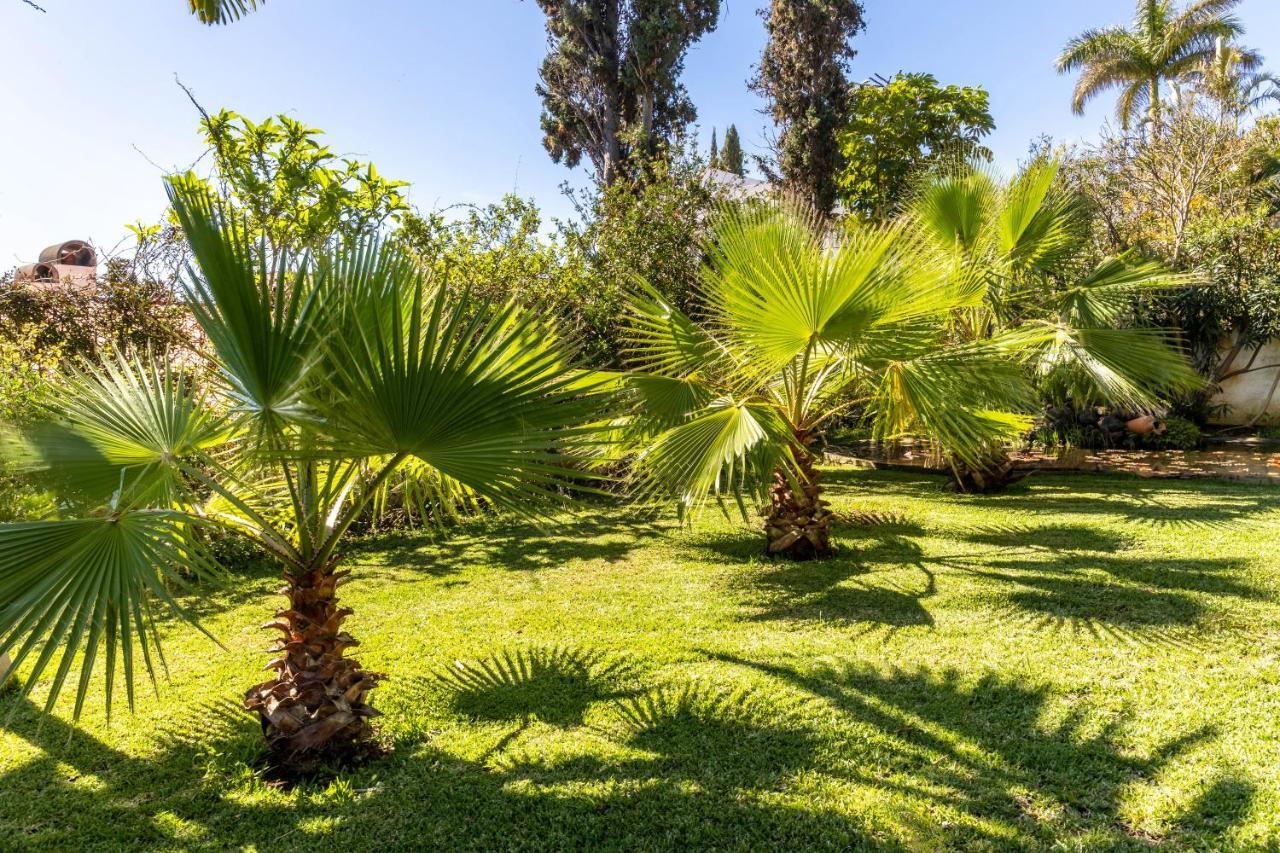 Villa Echium T1 Caniço Eksteriør bilde