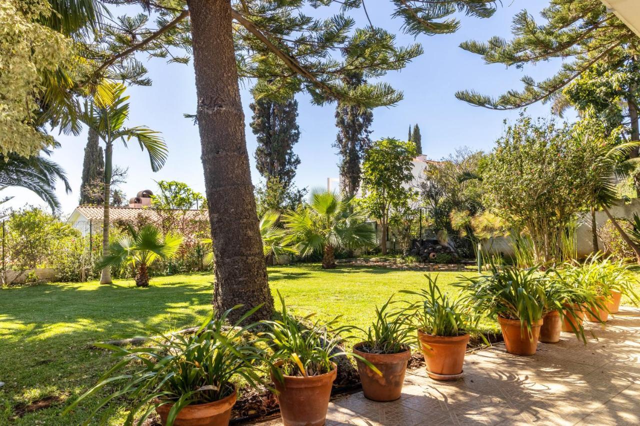 Villa Echium T1 Caniço Eksteriør bilde